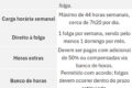 Samara Martins candidata UP apresenta programa salário mínimo R$ 3.242 jornada 4x3