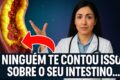 Gráfico mostra aumento de 426% nos casos de doenças inflamatórias intestinais no Brasil de 2012 a 2025
