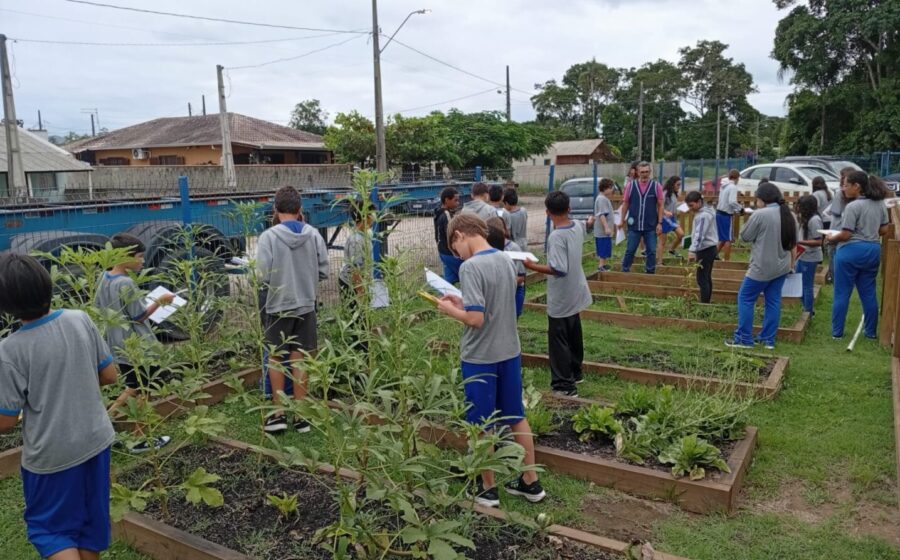 Estudantes do Colégio Agrícola do Paraná analisam mudas de ora-pro-nóbis em estufa com bioinsumos
