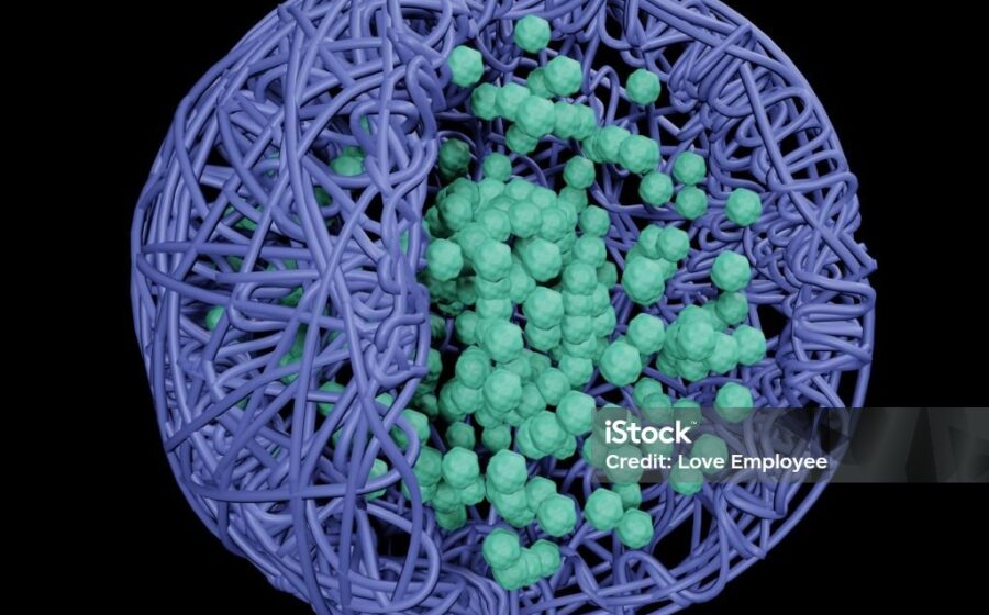 Pesquisadores da UFPI analisam nanoformulação promissora contra glioblastoma em laboratório