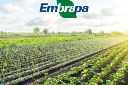 Pesquisadores da Embrapa analisando lavoura de soja no Cerrado brasileiro, simbolizando revolução agrícola tropical