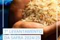 Arrozais alagados no Rio Grande do Sul com tecnologia de intemperismo de rochas para remoção de carbono do Google e Terradot