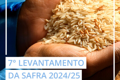 Arrozais alagados no Rio Grande do Sul com tecnologia de intemperismo de rochas para remoção de carbono do Google e Terradot