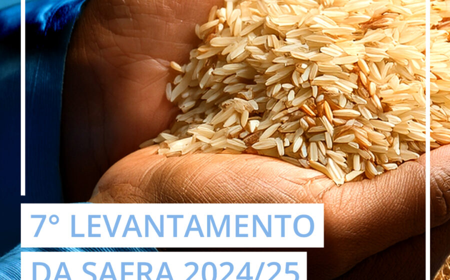 Arrozais alagados no Rio Grande do Sul com tecnologia de intemperismo de rochas para remoção de carbono do Google e Terradot
