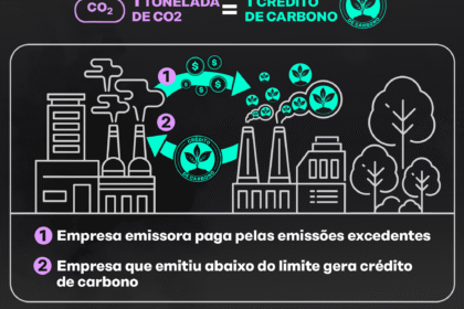 Floresta amazônica reflorestada com árvores nativas, representando créditos de carbono da Mombak