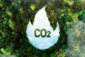 Calculadora de carbono para obras públicas em licitações sustentáveis do governo federal