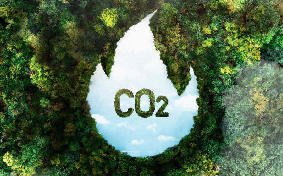 Calculadora de carbono para obras públicas em licitações sustentáveis do governo federal