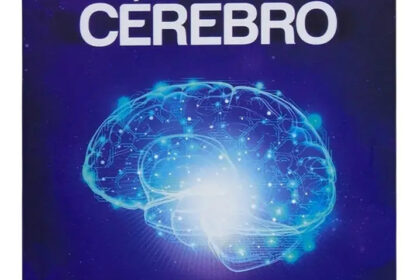 Ilustração de cérebro humano com ideias criativas fluindo para fora, representando atenção difusa e criatividade