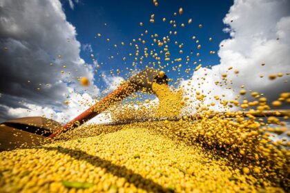Trader agrícola analisando cotações de soja e milho em múltiplas telas no Brasil