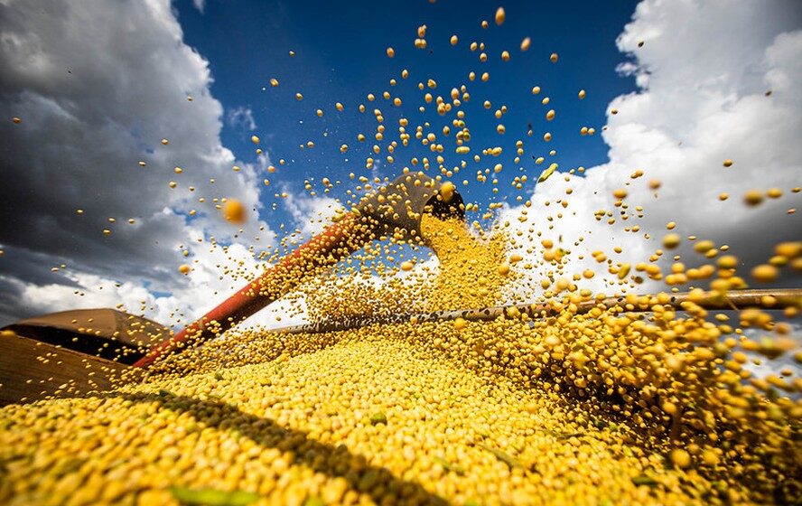 Trader agrícola analisando cotações de soja e milho em múltiplas telas no Brasil