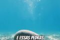 Ruínas de casas destruídas pela erosão costeira em Atafona, foz do Rio Paraíba do Sul