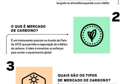 Gabriel Haddad Silva, CEO da Mombak, em área de reflorestamento na Amazônia com mudas nativas