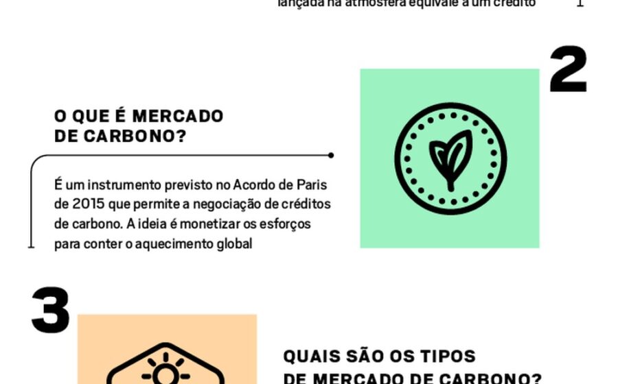 Gabriel Haddad Silva, CEO da Mombak, em área de reflorestamento na Amazônia com mudas nativas
