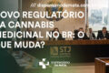 Representantes de associações canábicas em encontro no Nordeste discutindo regulamentação da cannabis medicinal no Brasil