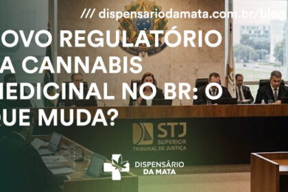 Representantes de associações canábicas em encontro no Nordeste discutindo regulamentação da cannabis medicinal no Brasil
