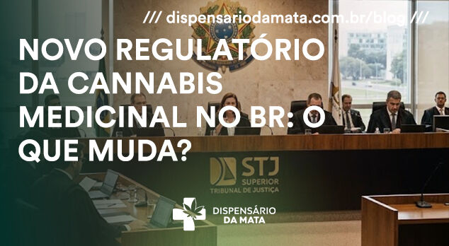 Representantes de associações canábicas em encontro no Nordeste discutindo regulamentação da cannabis medicinal no Brasil