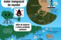 Plataforma de petróleo na Foz do Amazonas com mapa da bacia sedimentar ao fundo