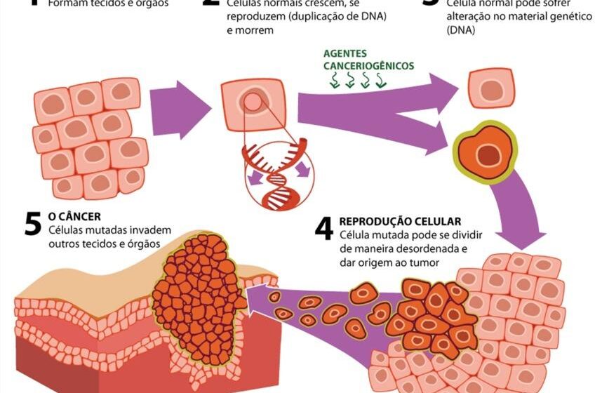 Ilustração científica de via metabólica alternativa de cisteína em células cancerígenas resistentes
