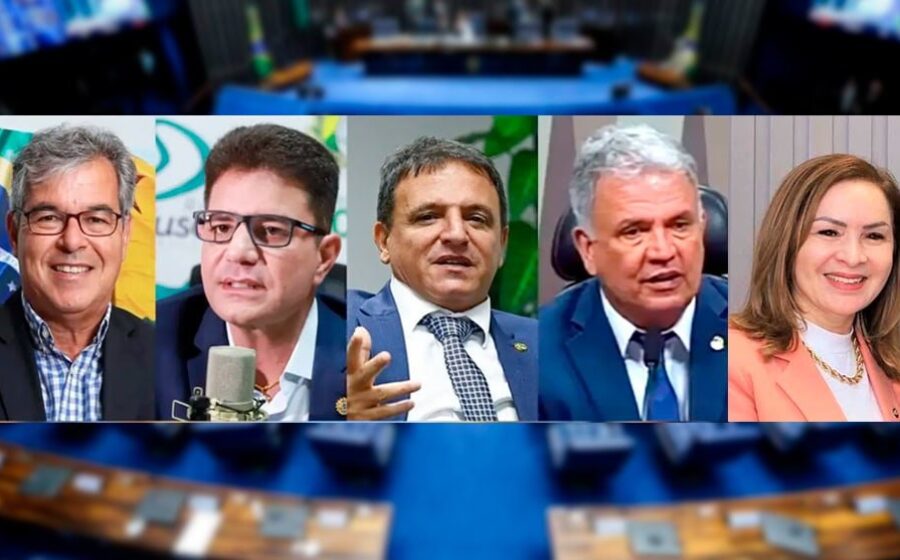Gráfico de pesquisa eleitoral mostra Marina Silva liderando com 35,1% para Senado SP 2026