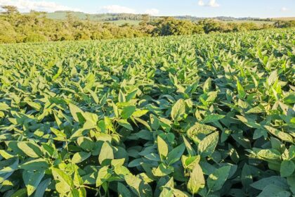 Trator plantando soja em lavoura do Paraná na safra 2026/27 com avanço recorde