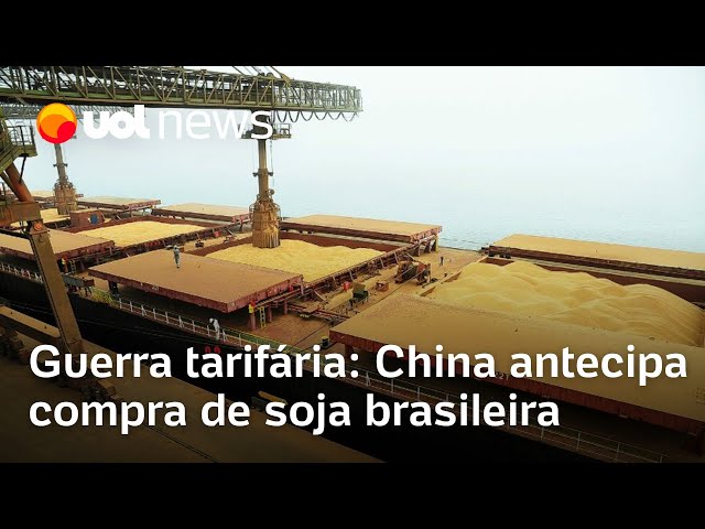 Gráfico de alta da soja em Chicago com grãos e farelo ao fundo