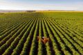 Rio Tapajós com barcaças de soja e draga, disputa entre energia e agronegócio