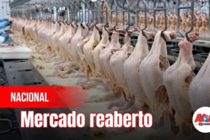 Reunião G20: Brasil e UE avançam para retomar exportações de frango e mel
