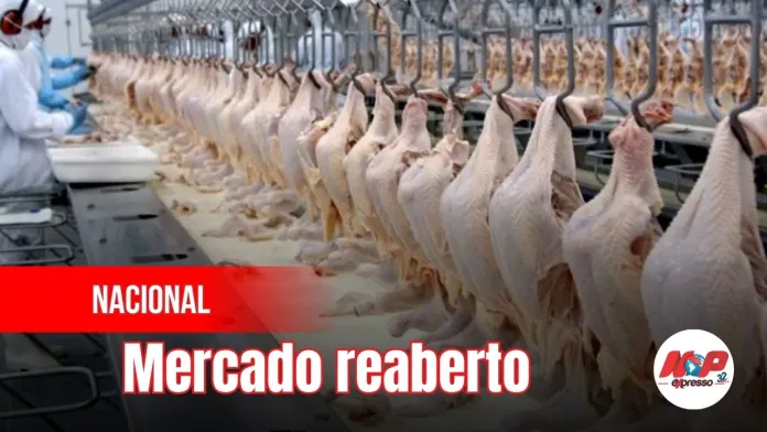 Reunião G20: Brasil e UE avançam para retomar exportações de frango e mel
