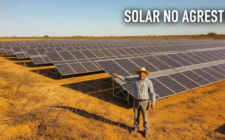 Fileiras de painéis solares abandonados no Nordeste brasileiro sob céu azul