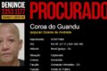 Rodovia RJ-106 em Araruama à noite com sinalização precária e trecho perigoso