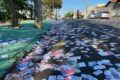 Pilhas de santinhos e material eleitoral sendo reciclados em cooperativa após eleições municipais São Paulo