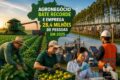 Trabalhadores rurais em plantação representam recorde de 28 milhões de empregos no agronegócio brasileiro