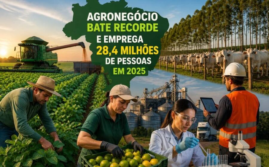 Trabalhadores rurais em plantação representam recorde de 28 milhões de empregos no agronegócio brasileiro