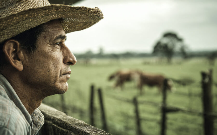 Campo de soja sob céu seco com silos ao fundo representando crise do agronegócio 2026