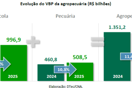 Infográfico do VBP agro 2026: queda de 3% para R$ 1,44 tri com soja e bovinos concentrando 42% da receita