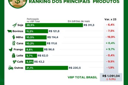 Campos de soja e gado bovino representam agronegócio brasileiro com VBP em queda