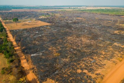 Imagem de satélite da Amazônia mostrando desmatamento e plumas de fumaça, indicando emissões de carbono por ação humana