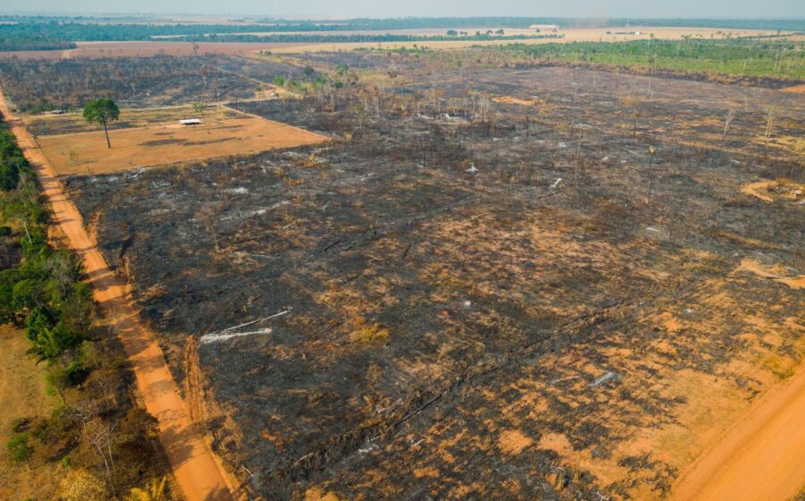 Imagem de satélite da Amazônia mostrando desmatamento e plumas de fumaça, indicando emissões de carbono por ação humana