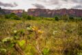 Floresta amazônica preservada com satélite monitorando redução de desmatamento e emissões de carbono