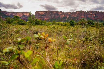 Floresta amazônica preservada com satélite monitorando redução de desmatamento e emissões de carbono