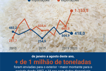 Lavoura de arroz alagada por chuvas excessivas no Rio Grande do Sul durante plantio da safra 2024
