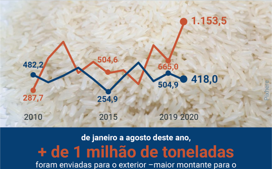 Lavoura de arroz alagada por chuvas excessivas no Rio Grande do Sul durante plantio da safra 2024