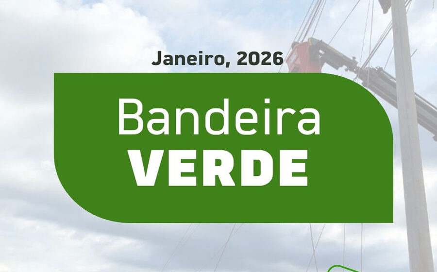 Conta de energia elétrica com símbolo de bandeira verde indicando ausência de taxa extra em novembro