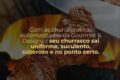 Boi gordo em pasto com etiqueta de preço R$ 400/@ representando alta histórica da arroba