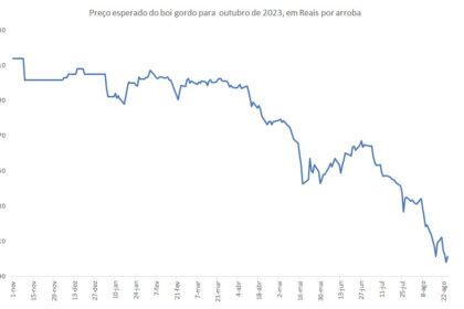 Gado nelore em pasto com gráfico de alta do boi gordo futuro a R$ 396/@ na B3