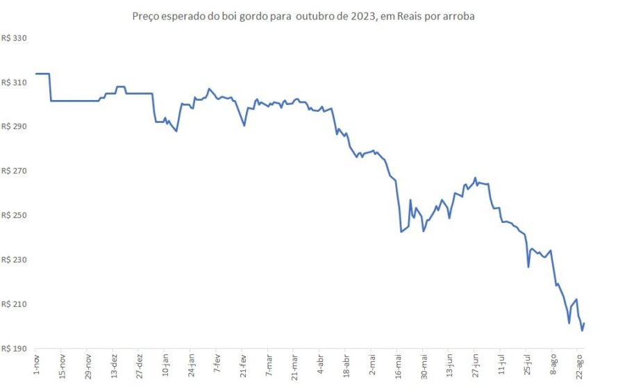 Gado nelore em pasto com gráfico de alta do boi gordo futuro a R$ 396/@ na B3