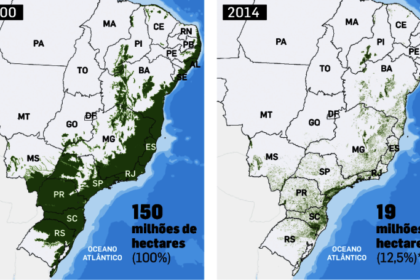 Mapa do Brasil mostra fragmentos de mata nativa isolados e reduzidos, ilustrando degradação e vulnerabilidade ecológica segundo MapBiomas