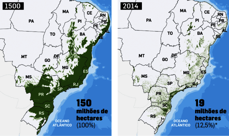 Mapa do Brasil mostra fragmentos de mata nativa isolados e reduzidos, ilustrando degradação e vulnerabilidade ecológica segundo MapBiomas