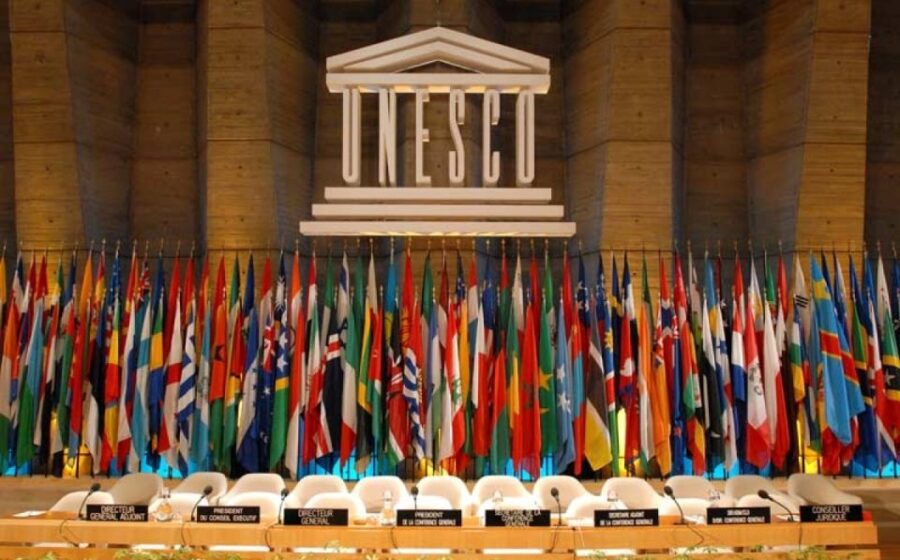 Denise Pires, primeira brasileira em 80 anos na Diretoria de Ciências da Unesco, em retrato oficial