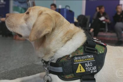 Cão de serviço Yoda alerta tutor autista John Polanski durante formatura de direito